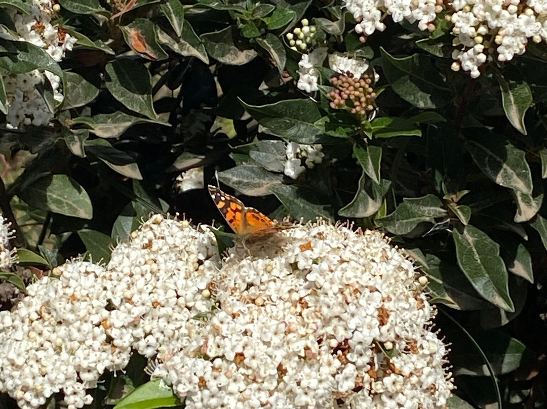 San Francisco Lodge主图