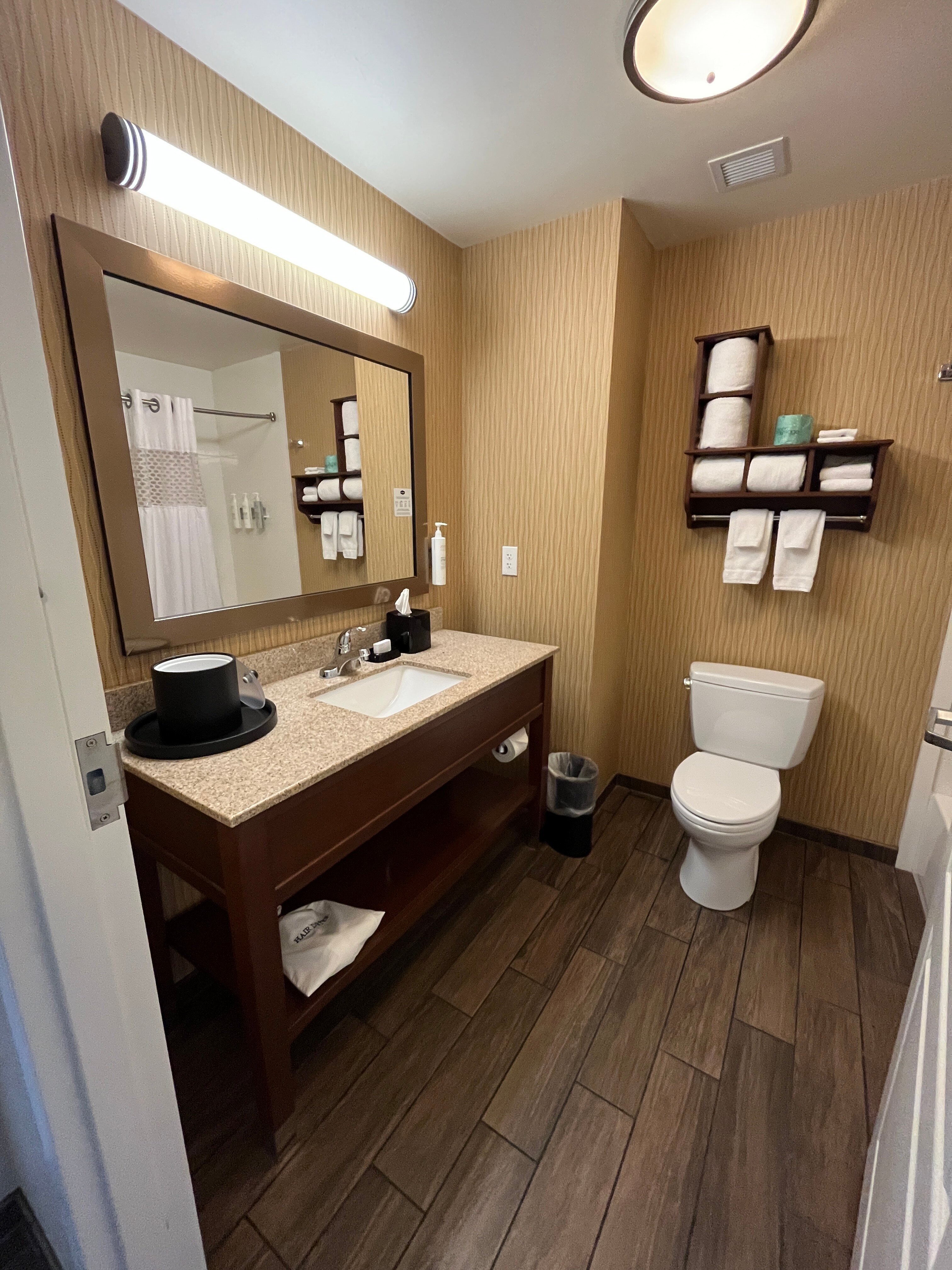 Hampton Inn & Suites Milwaukee/franklin-浴室