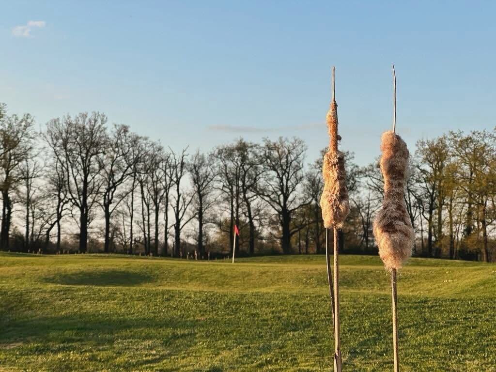 Golf Des Etangs Savigneux-Savigneux必去景点