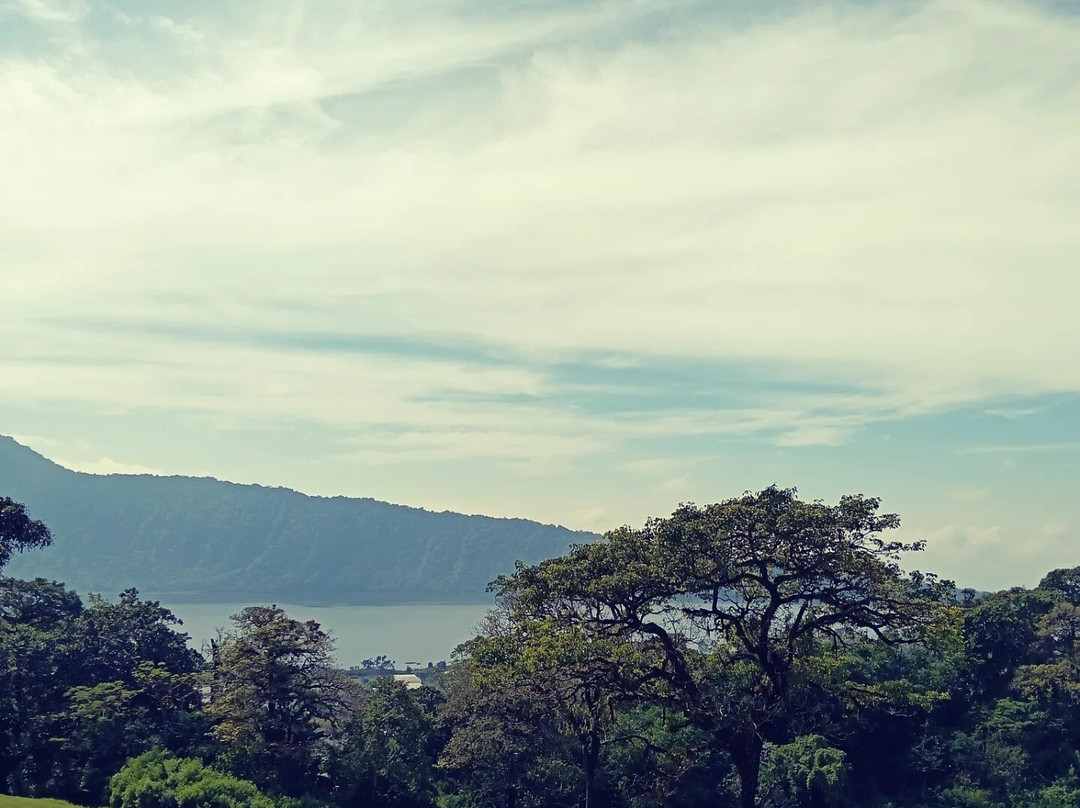 The Blooms Garden-达巴南必去景点