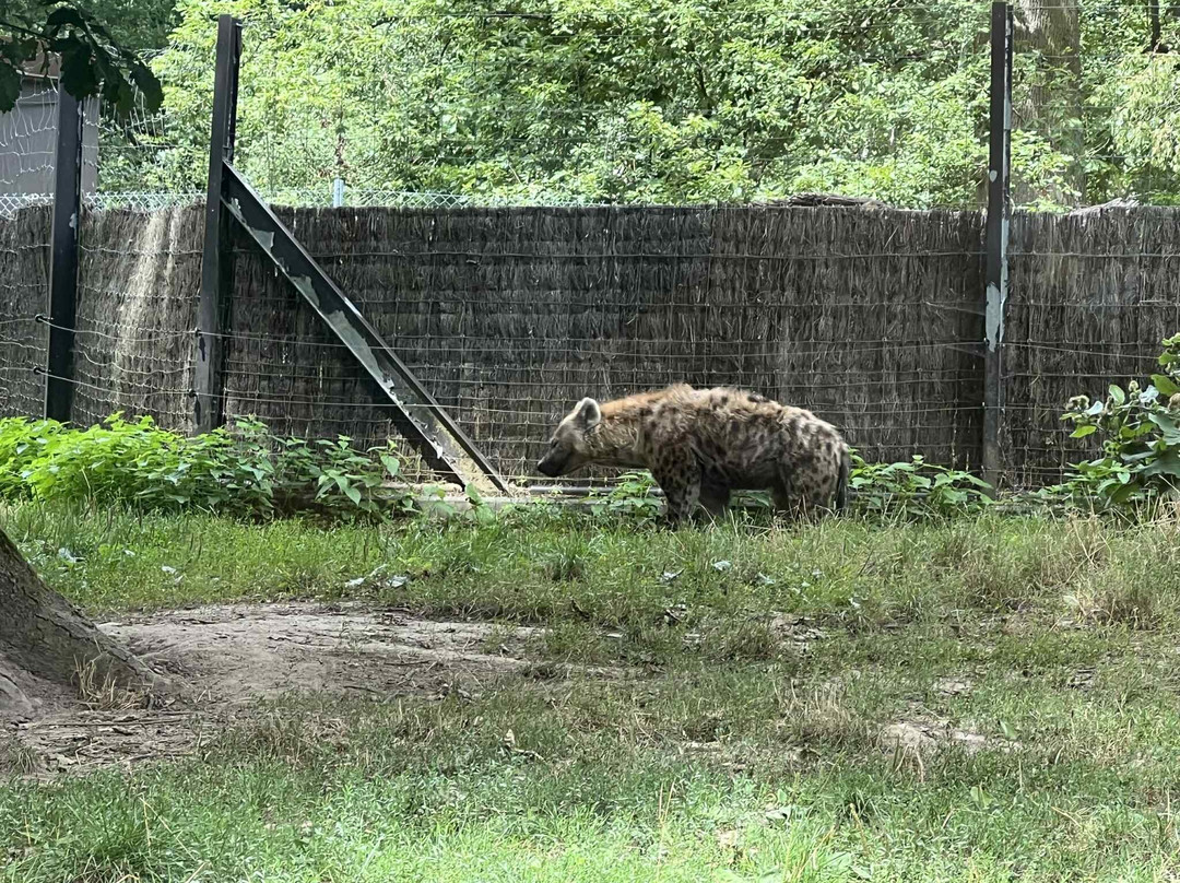 Zoo De Thoiry-Thoiry必去景点
