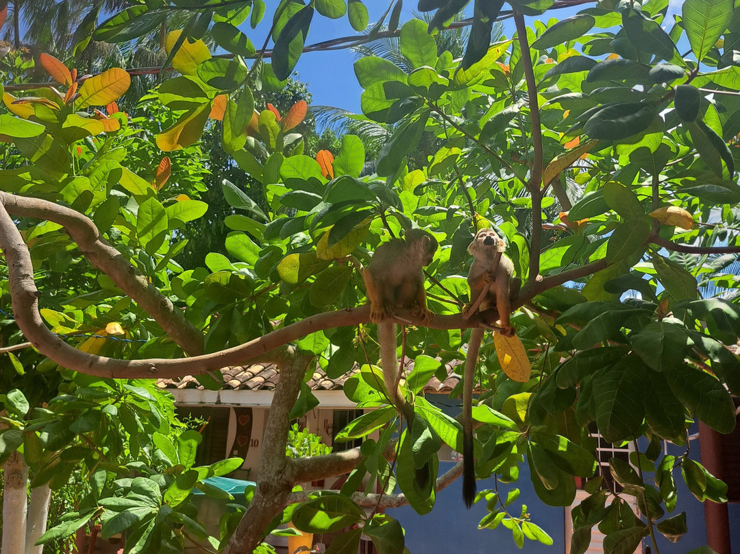 Pousada dos Corações主图