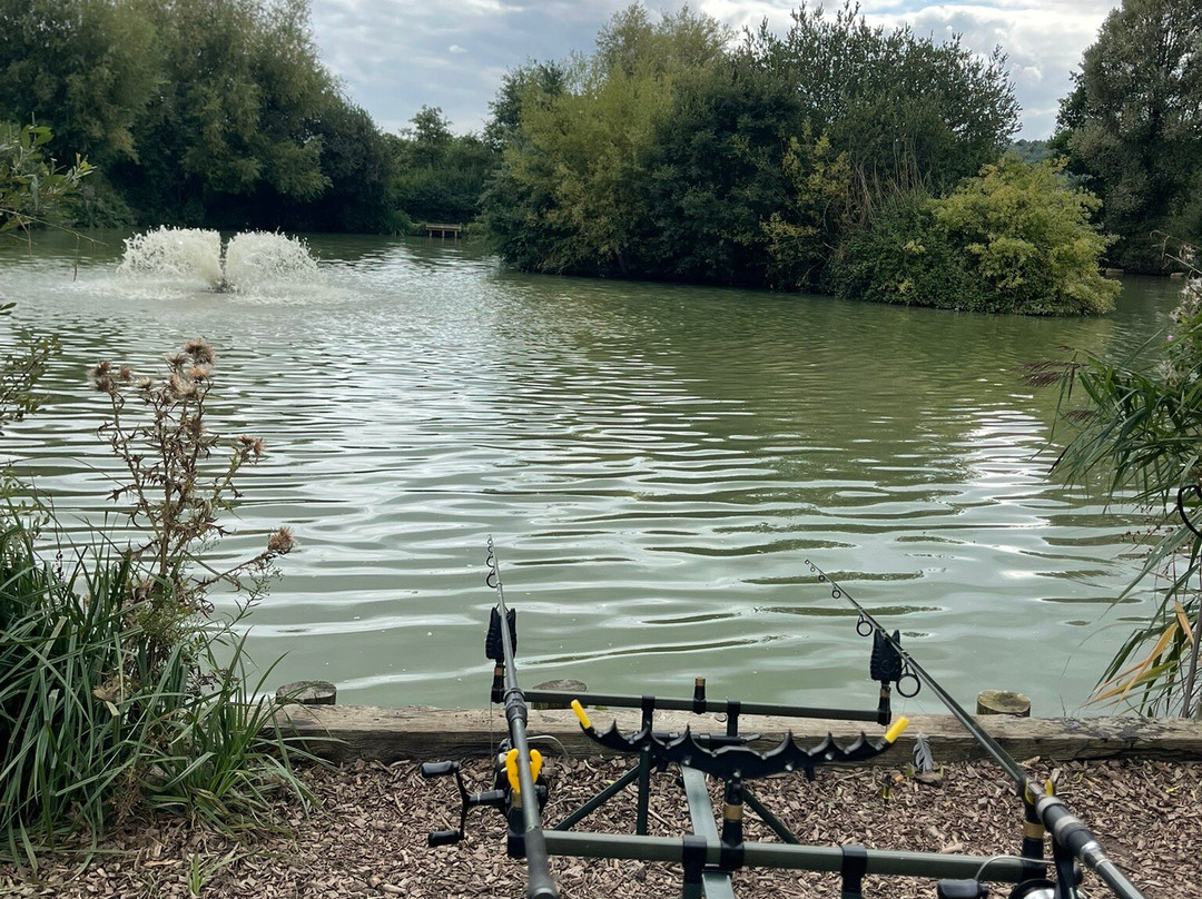 Alderwood Pond Fishing lakes-Steyning必去景点