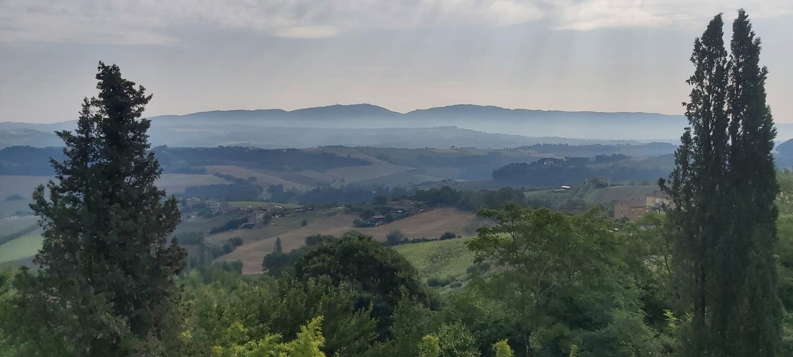 路易莎别墅酒店-官方