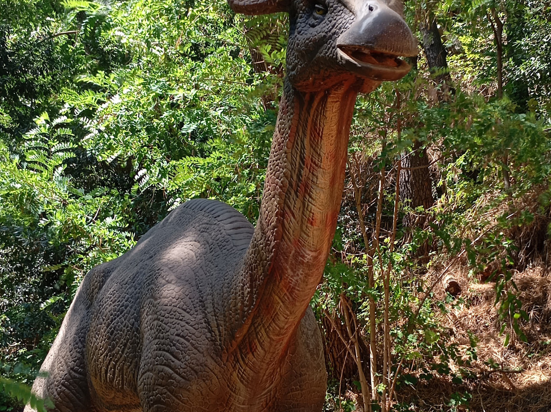 Dinopedia Parc-La Grand-Combe必去景点