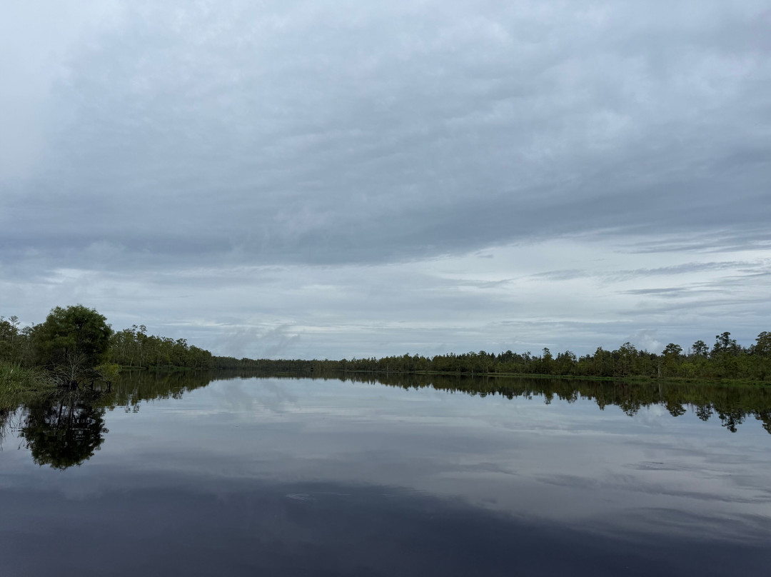 Coastal Kayak Touring Company-Duck必去景点