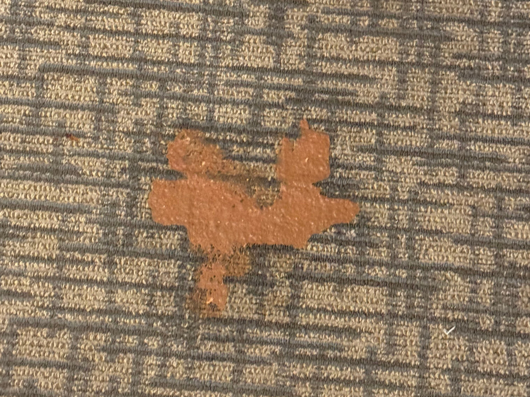 My Place Hotel - Minneapolis/Shakopee, MN主图