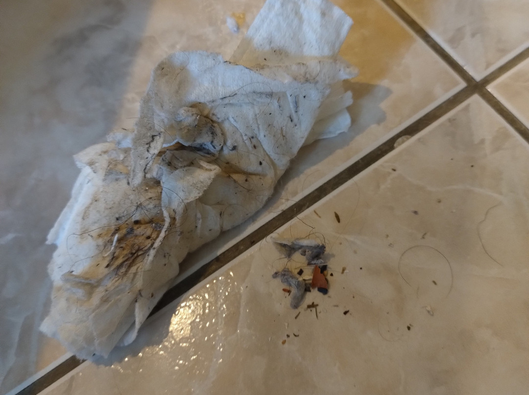 Hotel Restaurant la Rose des Vents主图