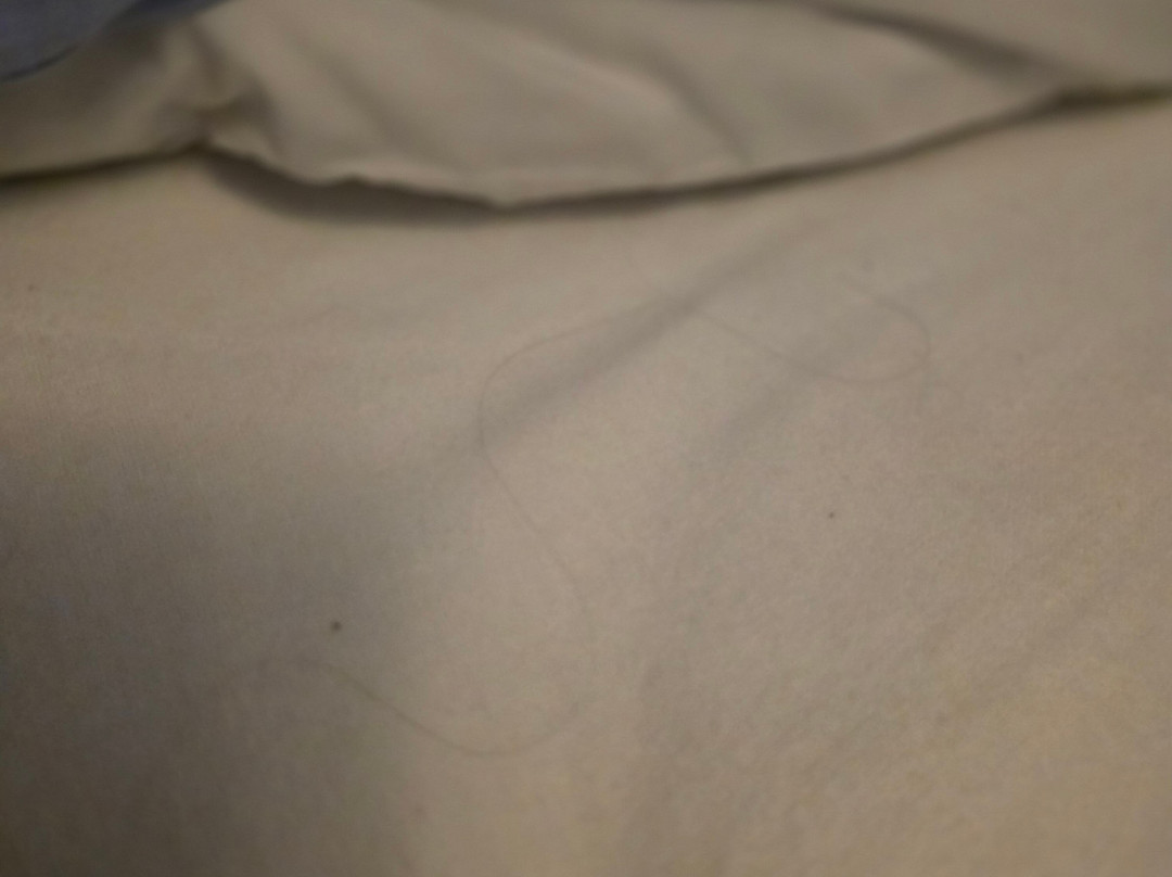 The Villa Hotel主图