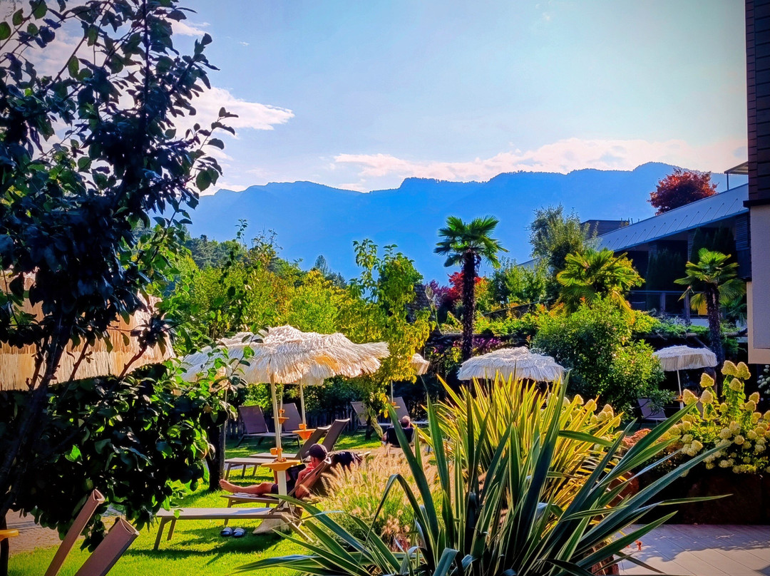 Gartenhotel Moser主图