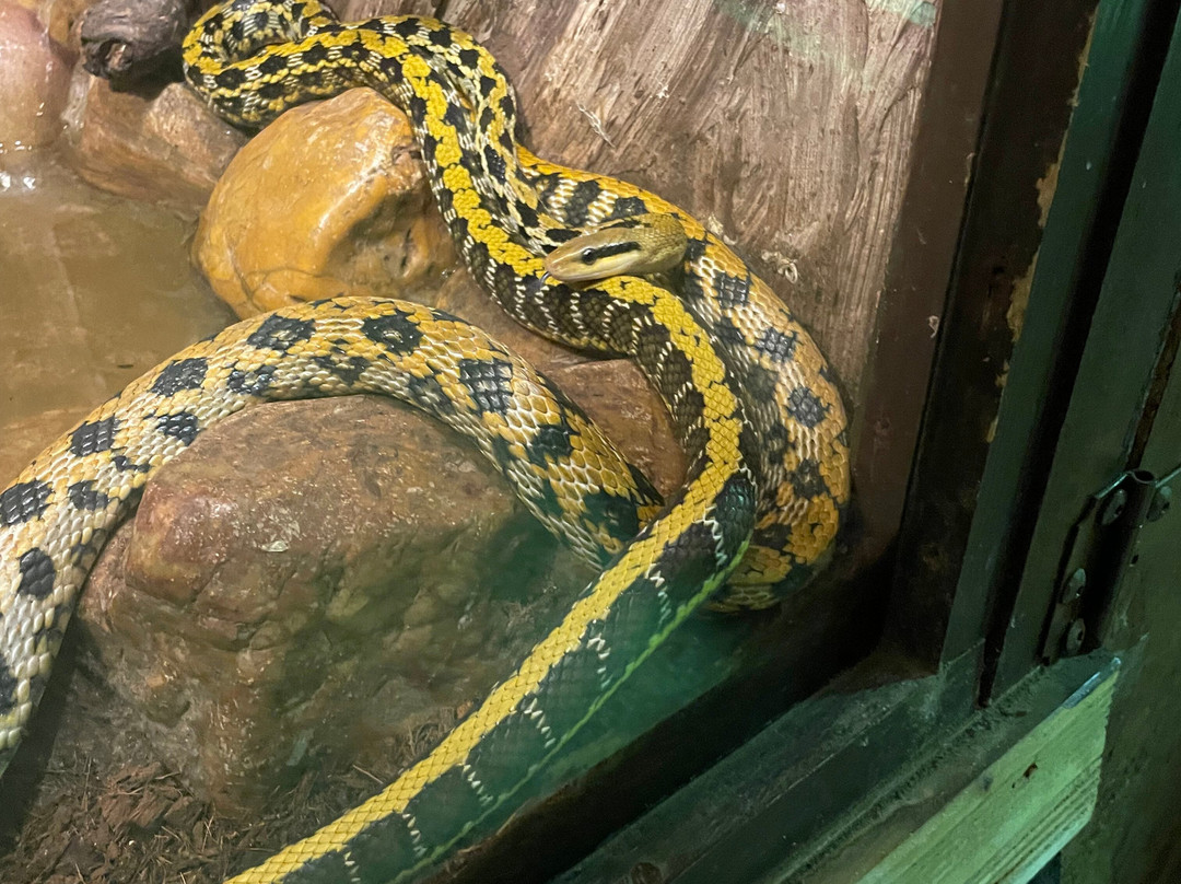 Zoo de Mescoules-Mescoules必去景点