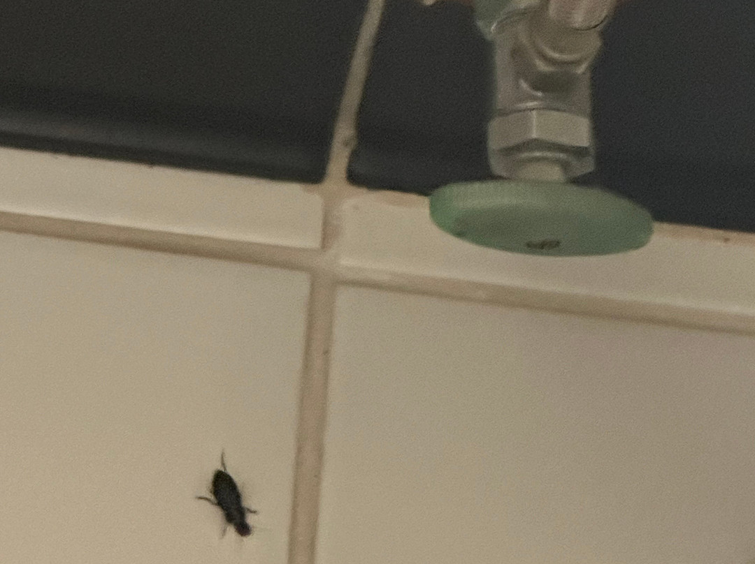 Fairfield by Marriott Inn & Suites North Platte主图