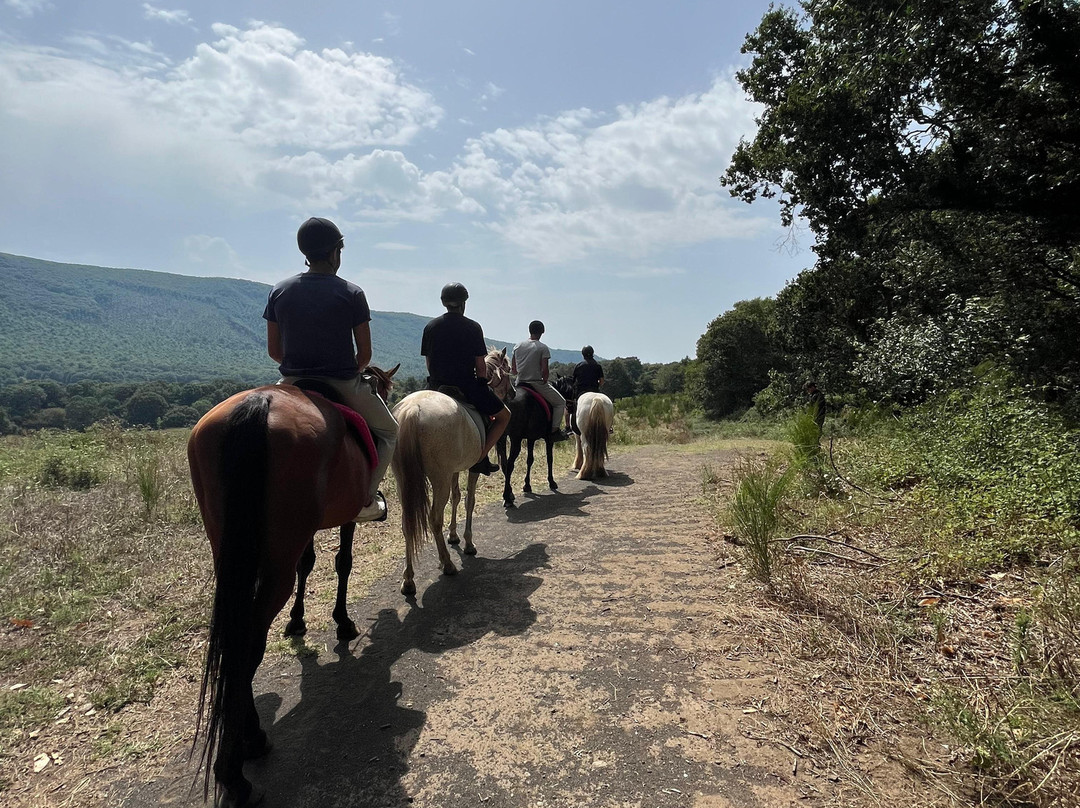 The Fairy Ranch-Rocca di Papa必去景点