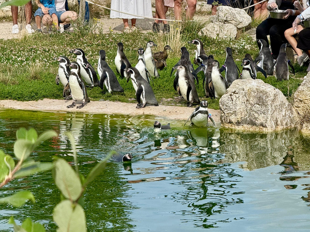 Parrot World-Crecy-la-Chapelle必去景点