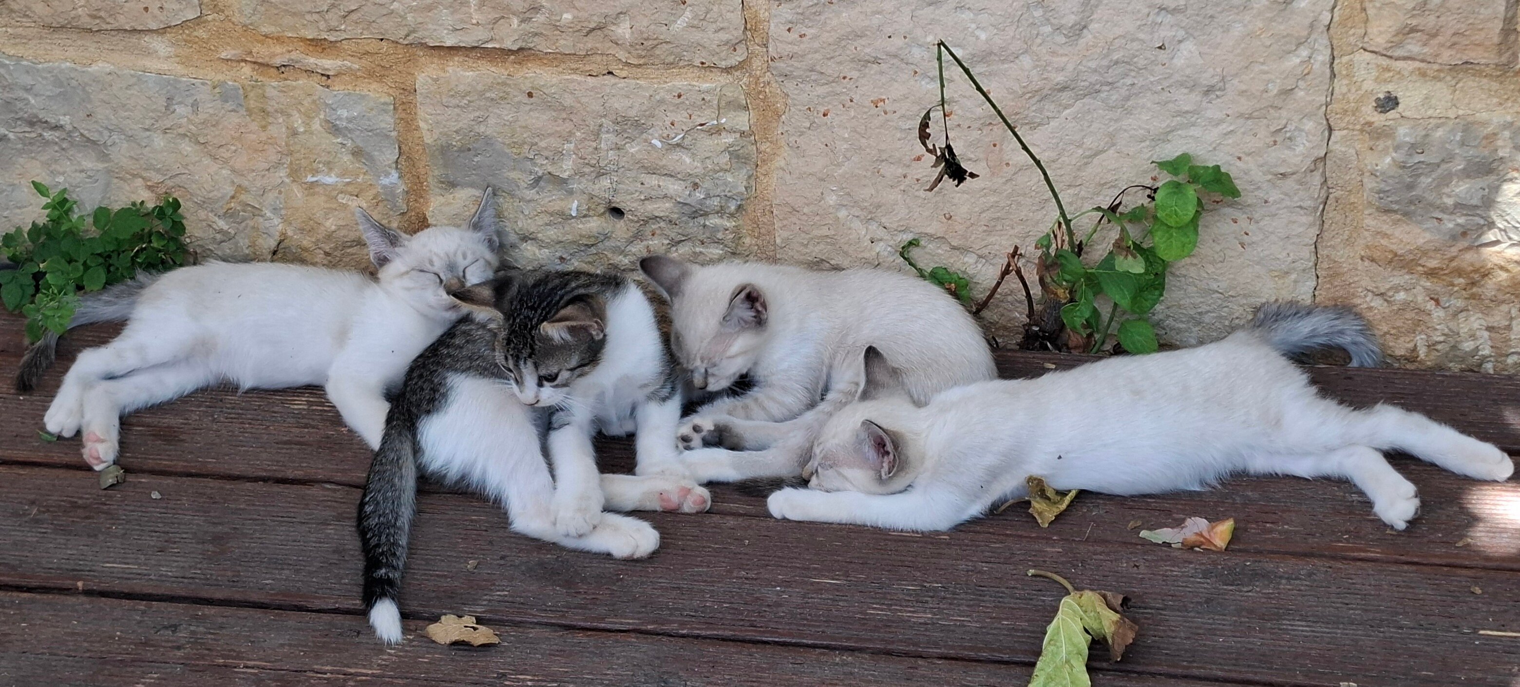 Blue Sky Hotel Apts-浴室