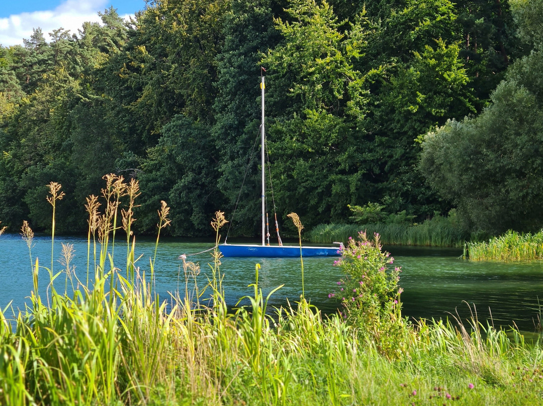 Adler Medical Spa主图