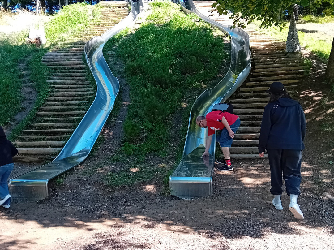 Giardino Botanico Alpino Viote di Monte Bondone-特伦托必去景点