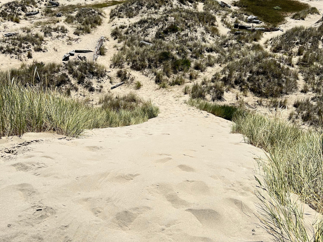 Sand Master Park - Sandboarding-弗洛伦斯必去景点