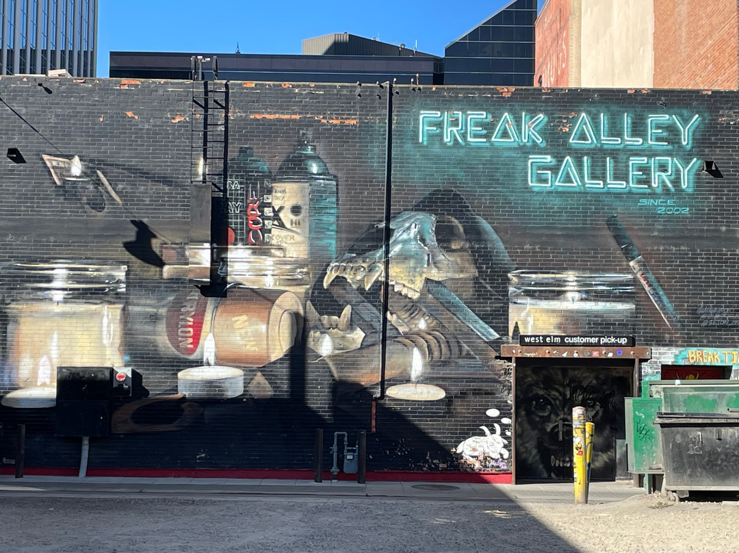 Freak Alley Gallery-博伊西必去景点