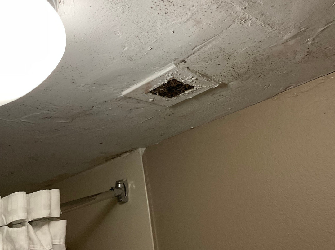 Super 8 by Wyndham Austell/Six Flags主图