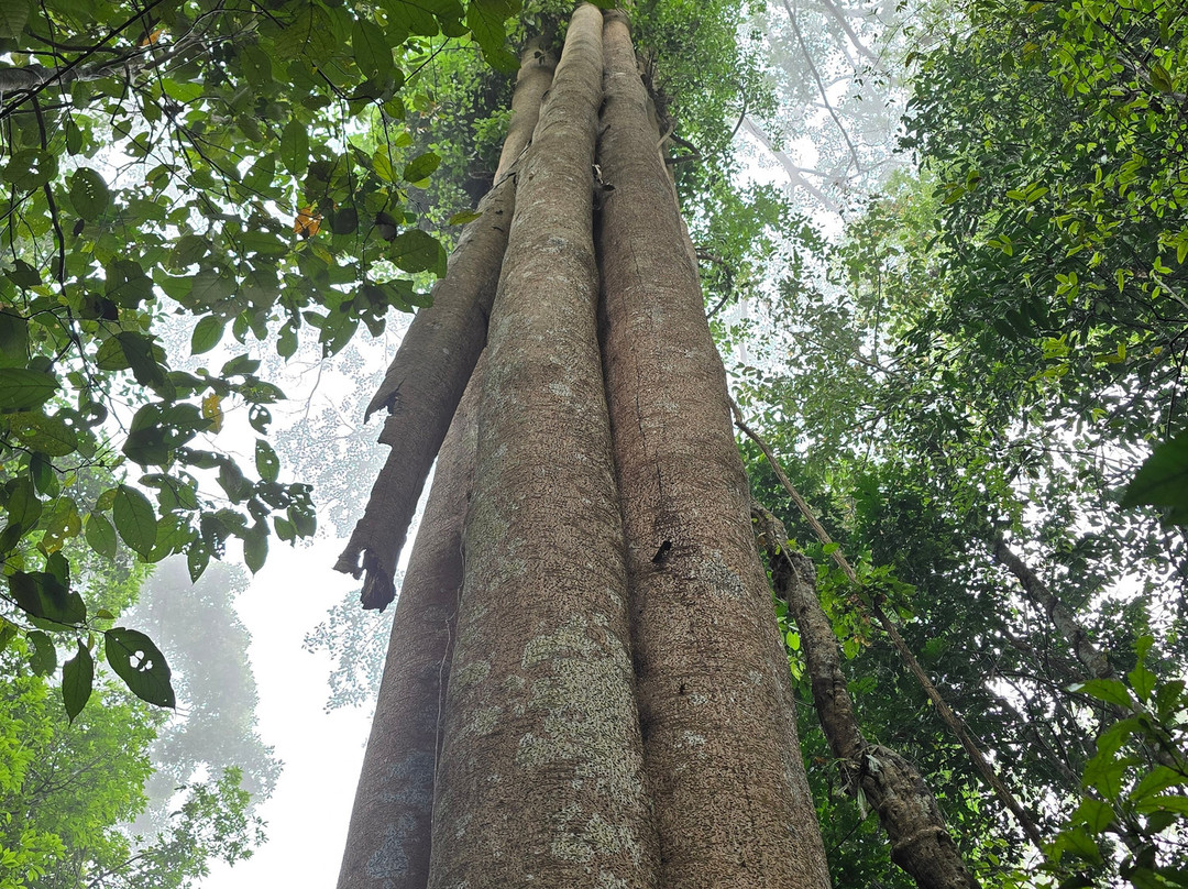 Khao Yai National Park-北丕必去景点