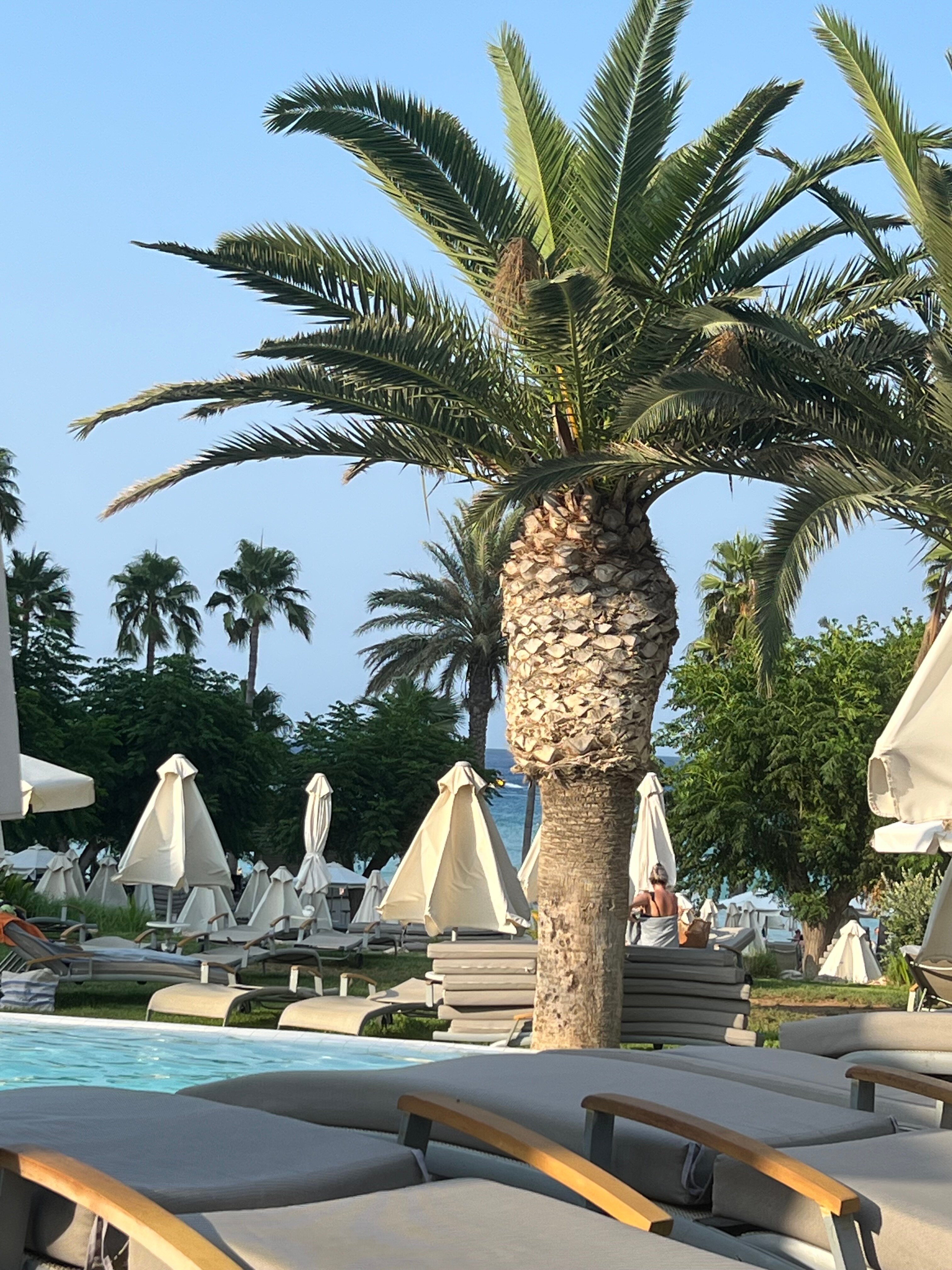 Sunrise Beach Hotel-泳池