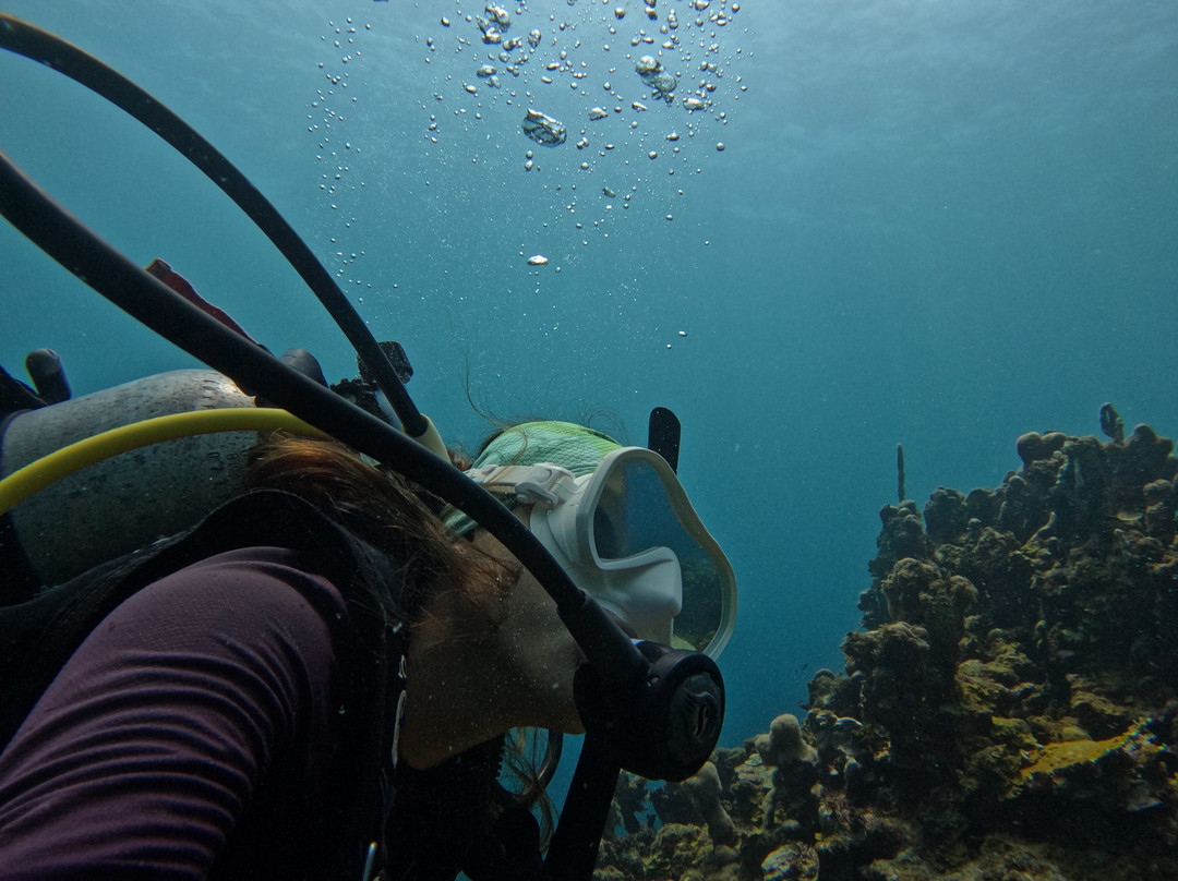 Covenas Diving Co.-Covenas必去景点