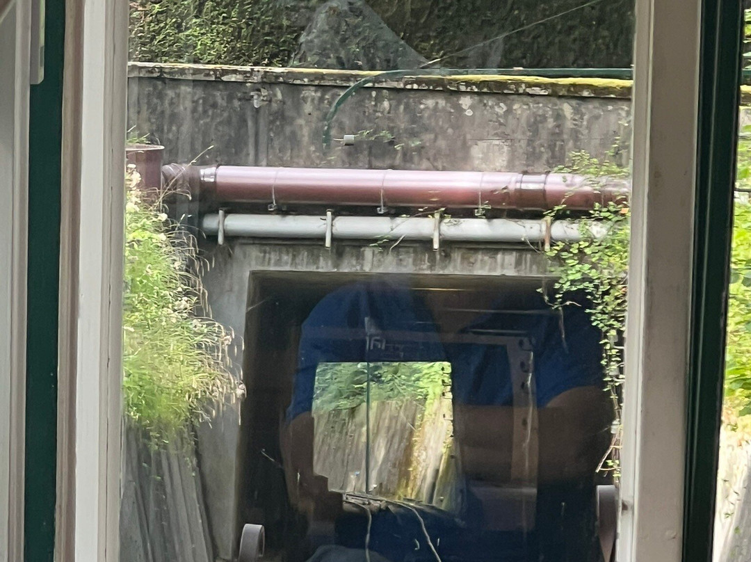 依云登山缆车-依云必去景点