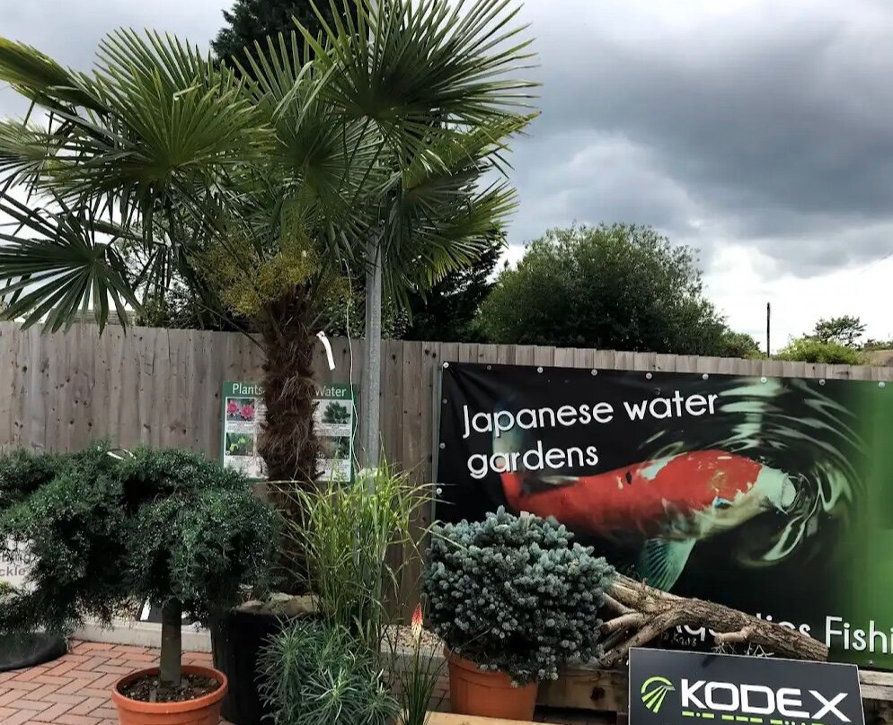 Waterscapes And Gardens