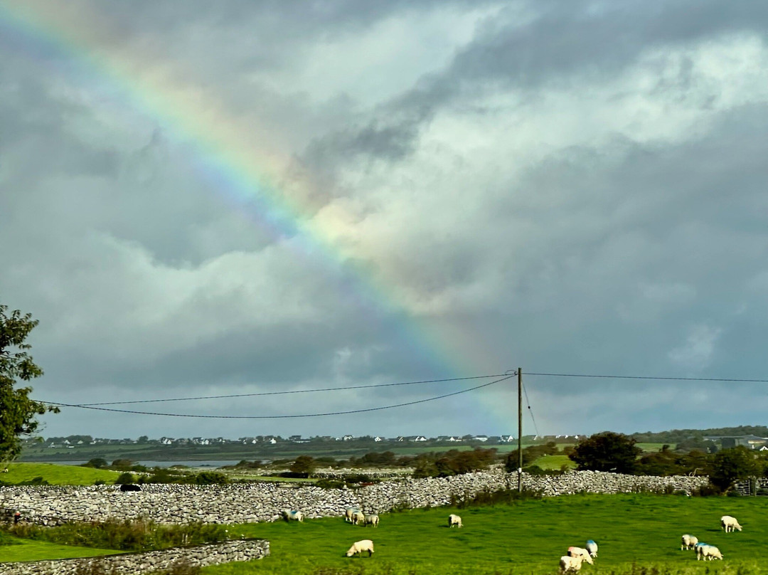 Emerald Irish Tours-Kilkee必去景点