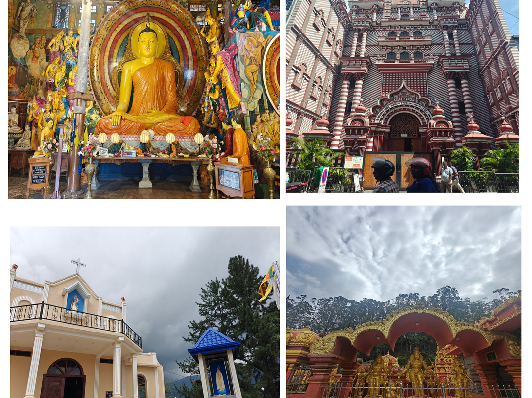 Xtreme Tours and Travels-科伦坡必去景点