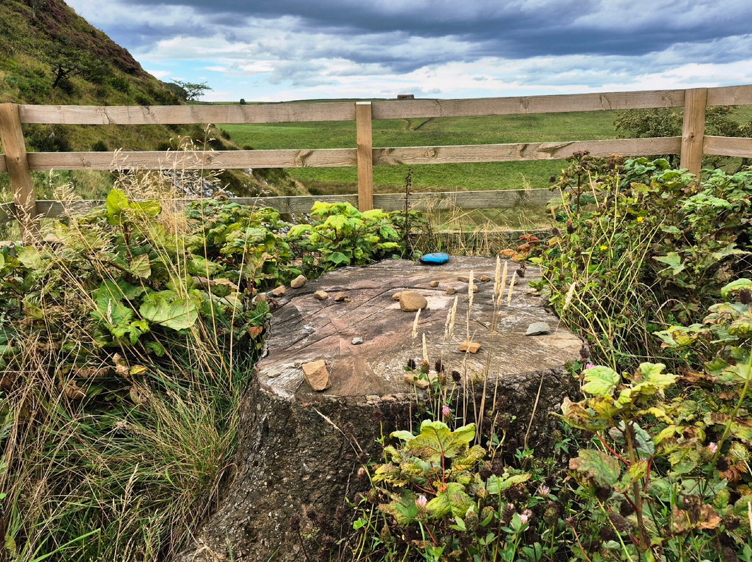 Sycamore Gap-Northumberland National Park必去景点