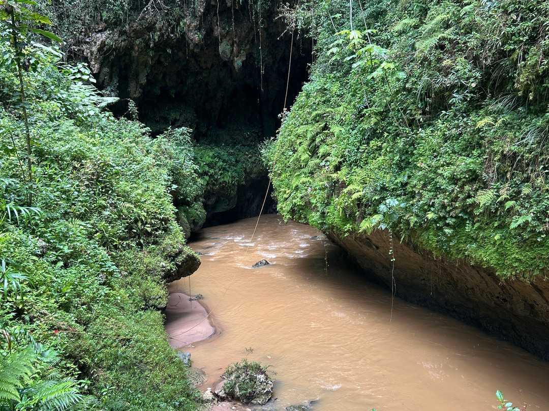 Westside Adventures-San German必去景点