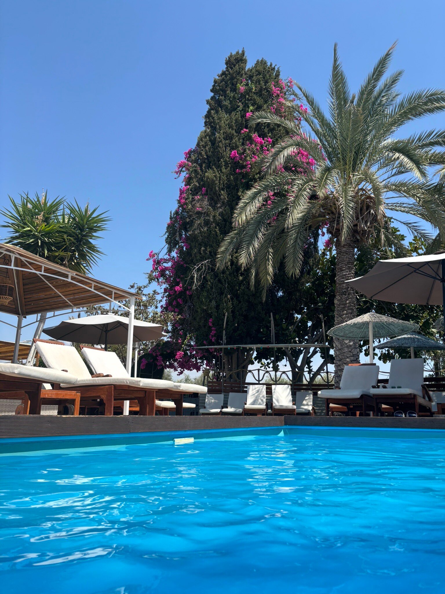 Fitos Inn Guest House-官方