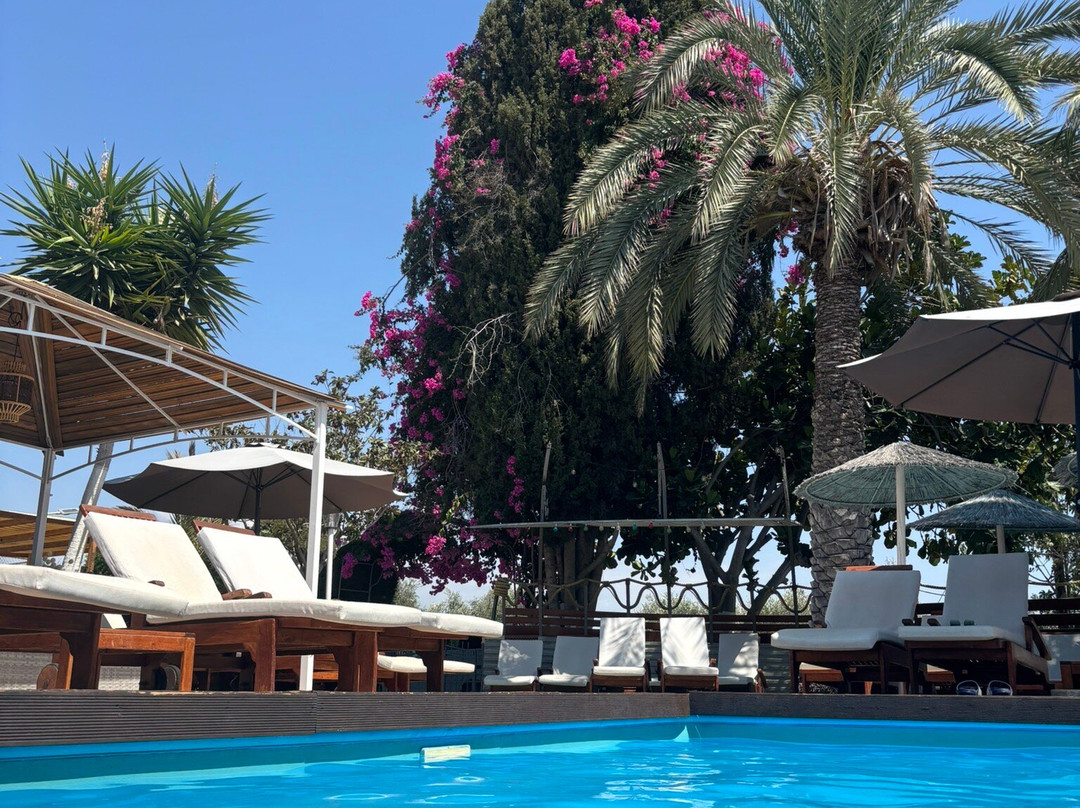 Fitos Inn Guest House主图