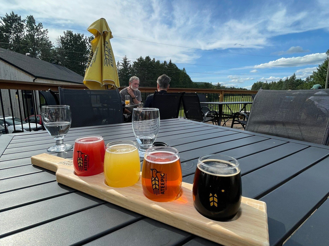 Microbrasserie Ateepic-埃德蒙兹顿必去景点