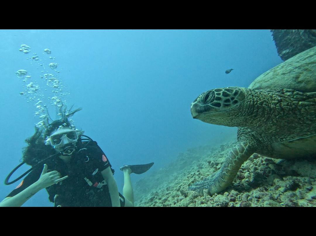 Trident Adventures-火奴鲁鲁必去景点