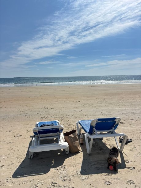 Alouette Beach Resort-官方