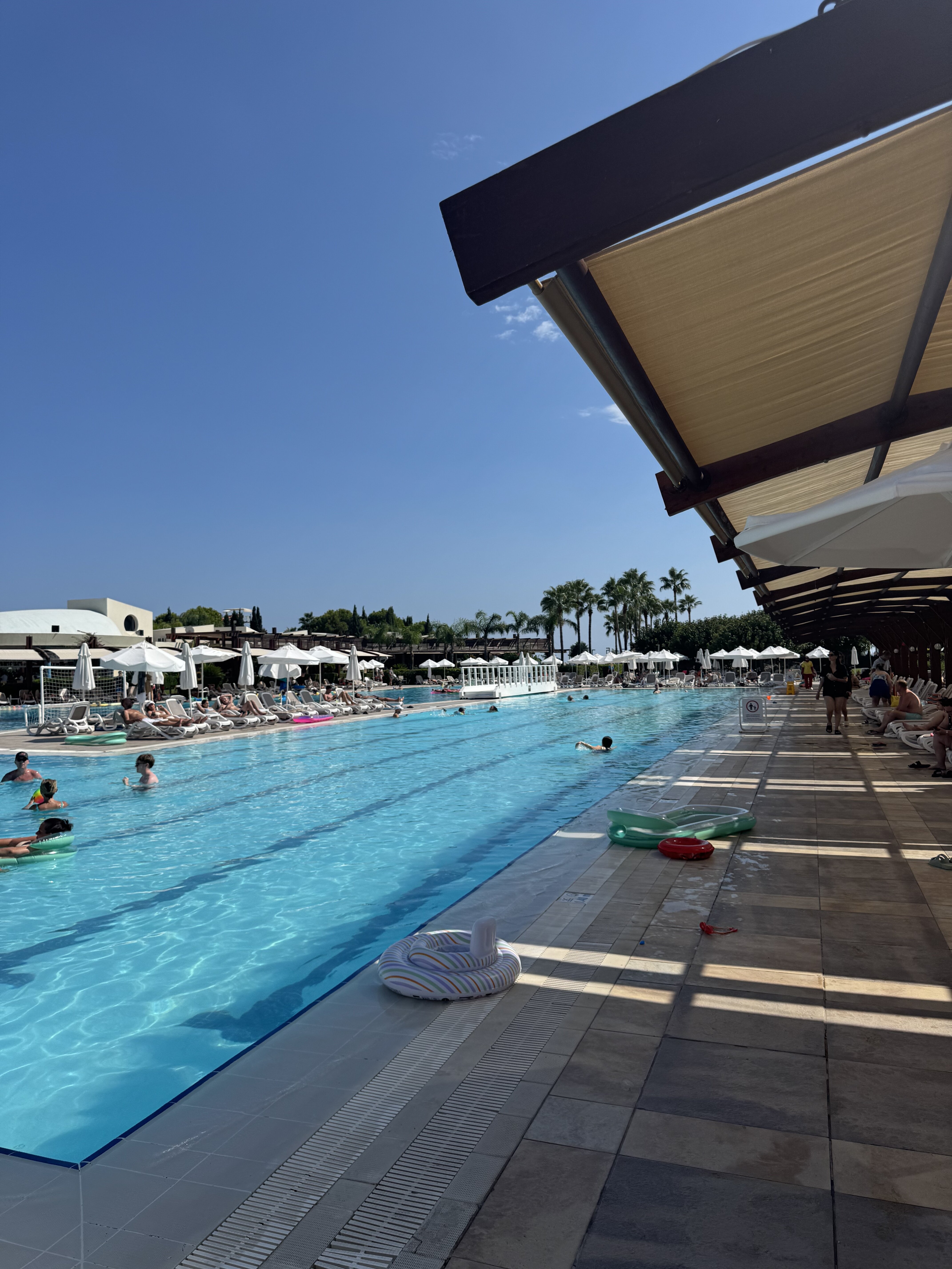 拜亚拉腊酒店-泳池