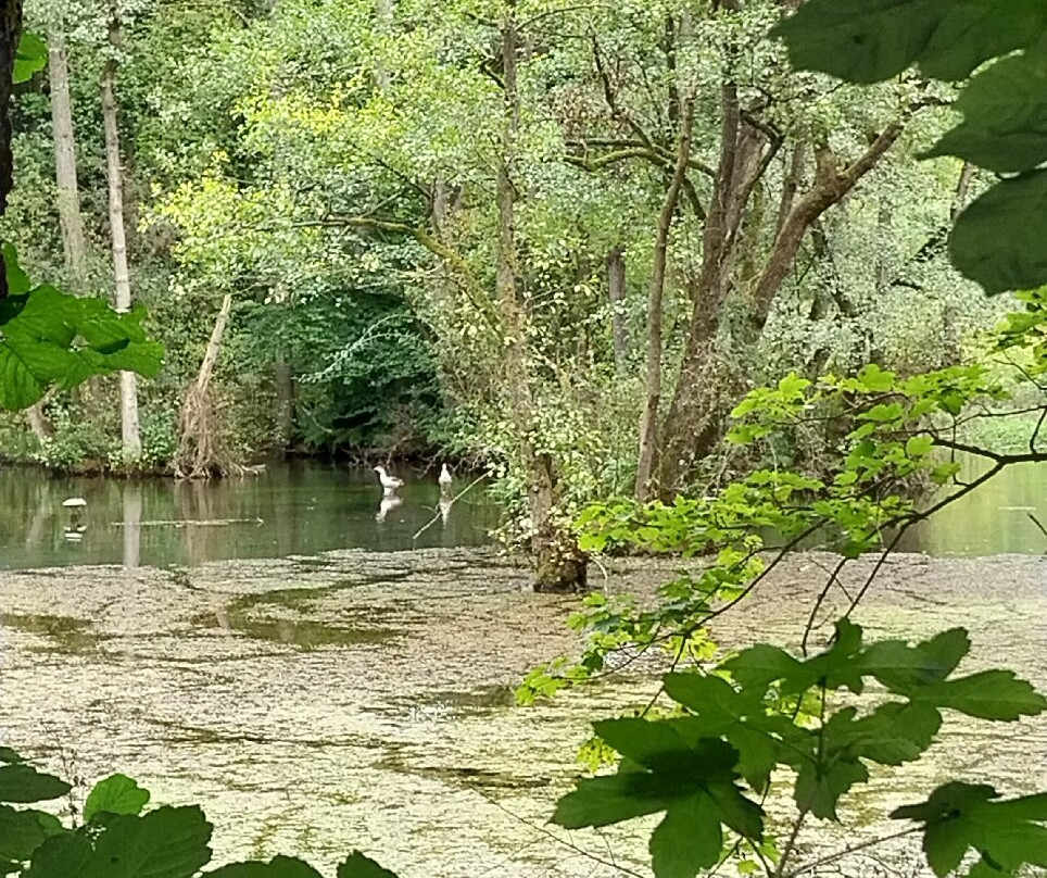Almequellen-Brilon必去景点