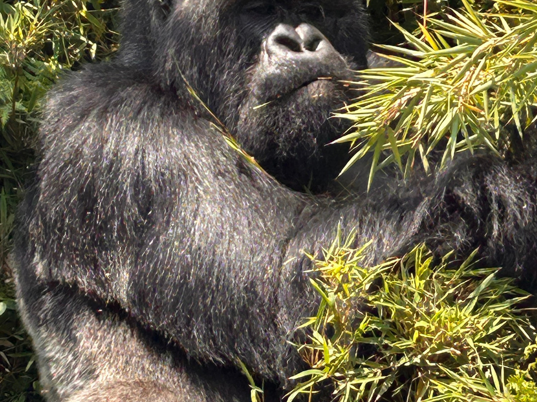 Lets Go Tours Rwanda-吉佳利必去景点