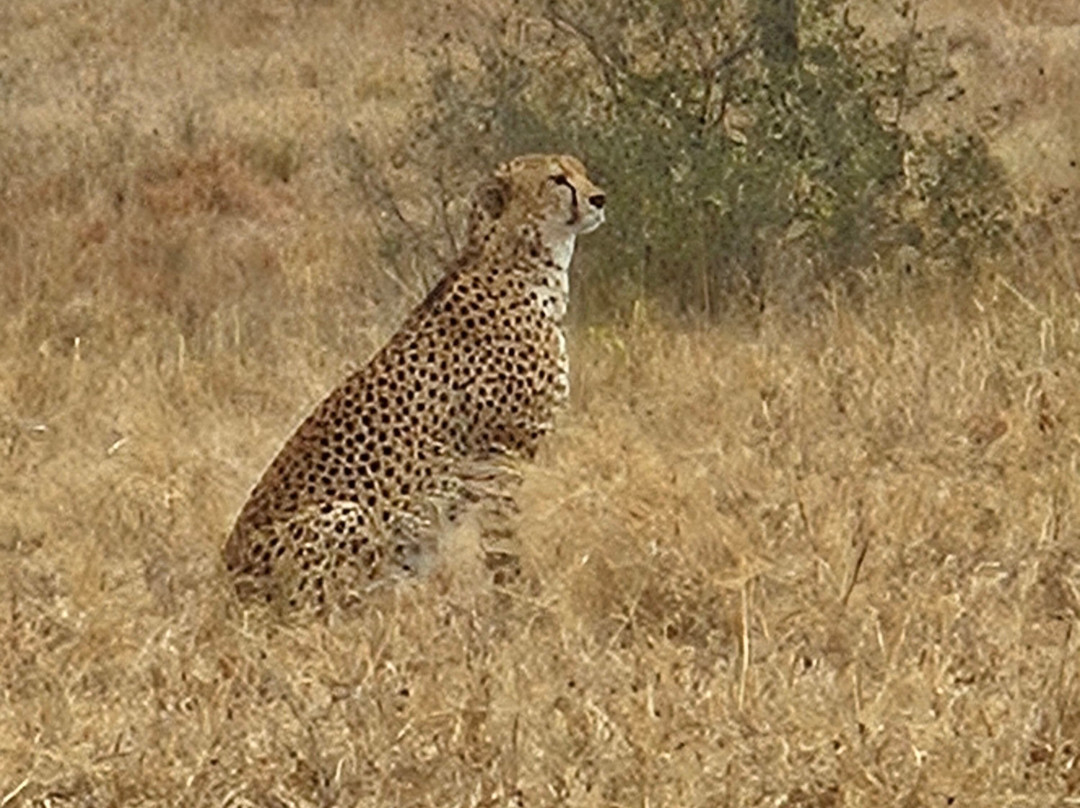 Papagei Tours And Safaris-阿鲁沙必去景点