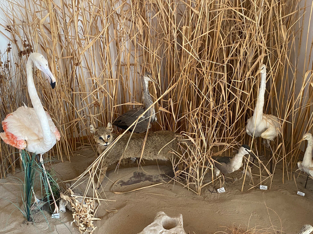 Tarihi Doğanbey köyü müzesi-Soke必去景点