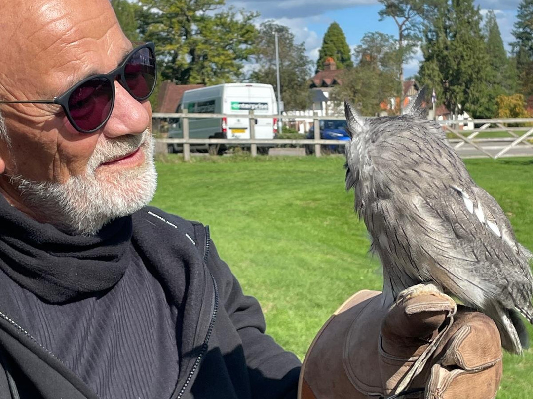 Surrey Hills Falconry-Ockley必去景点