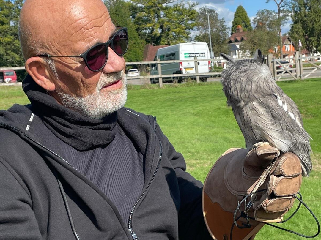 Surrey Hills Falconry-Ockley必去景点
