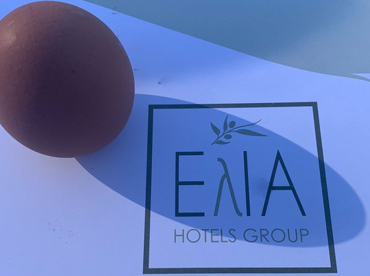 Elia Agia Marina Resort