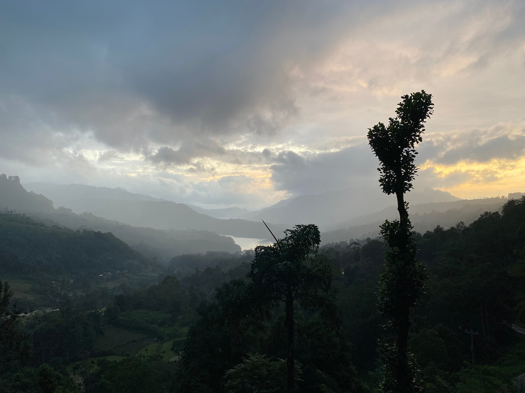 橡树雷茶布什酒店主图