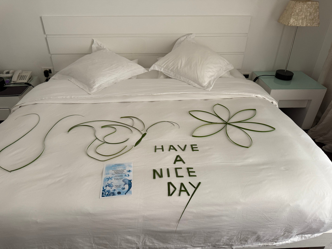 钻石岛泰达富士海滩和水上别墅酒店主图