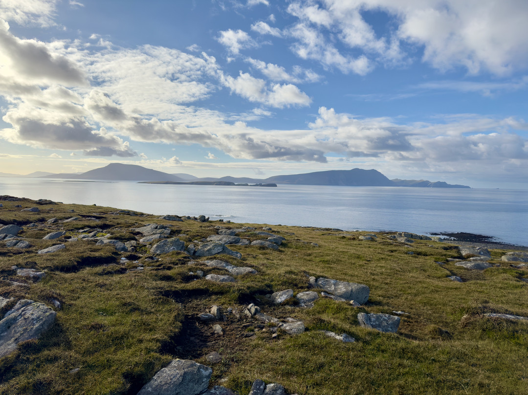 Blacksod Sea Safari-Belmullet必去景点