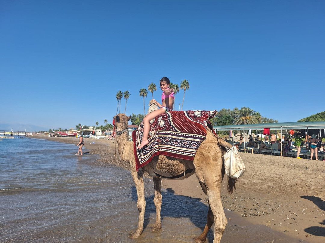 Green Max Hotel主图